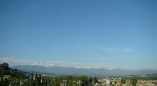 Гостиница Афалина Адлер-2